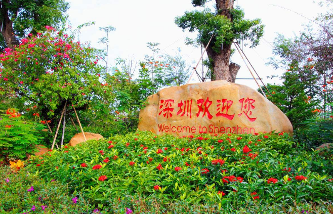 邁思奇是一個有故事的公司