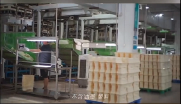 2023-2032年：紙塑包裝的黃金十年